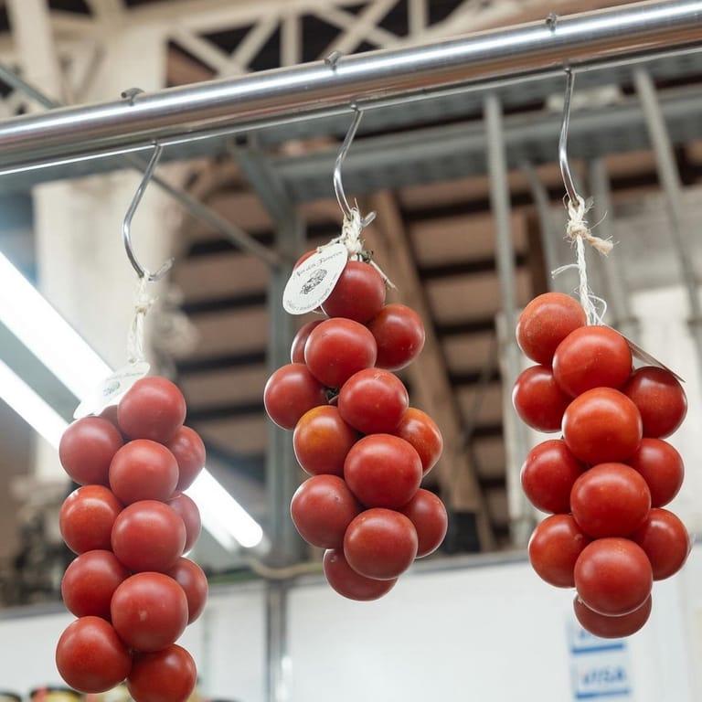 image of Mercat Central de València