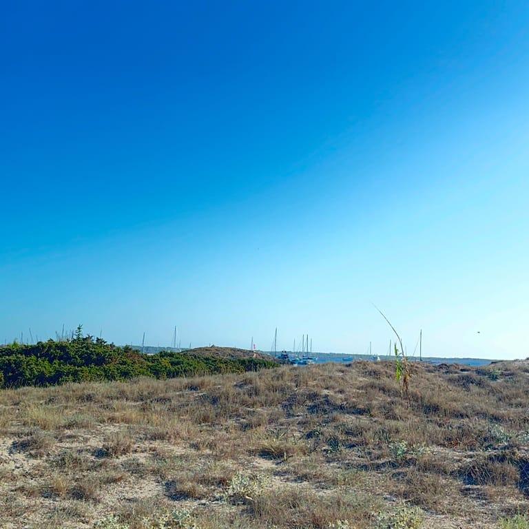 image of Juan y Andrea