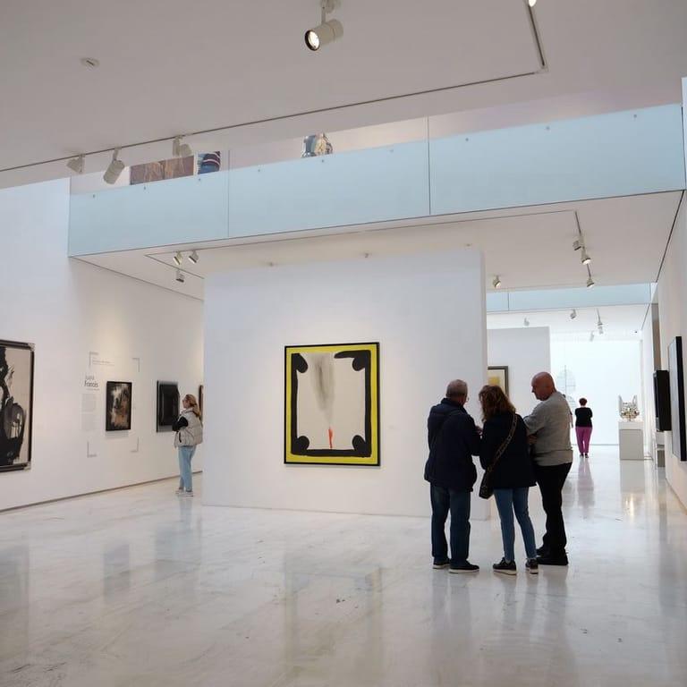 image of MACA Contemporary Art Museum of Alicante