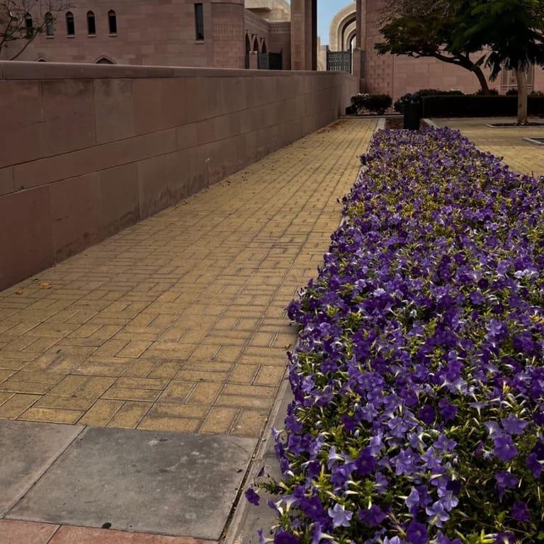 image of Sultan Qaboos Grand Mosque