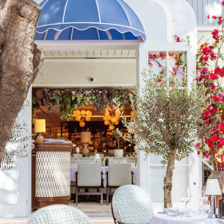 image of GAIA Marbella