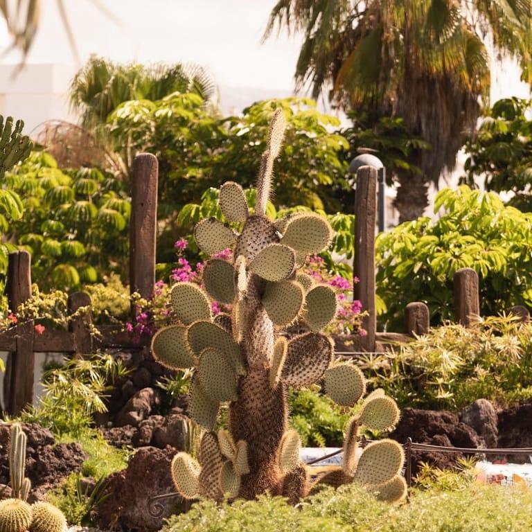 image of Mini Golf Santiago