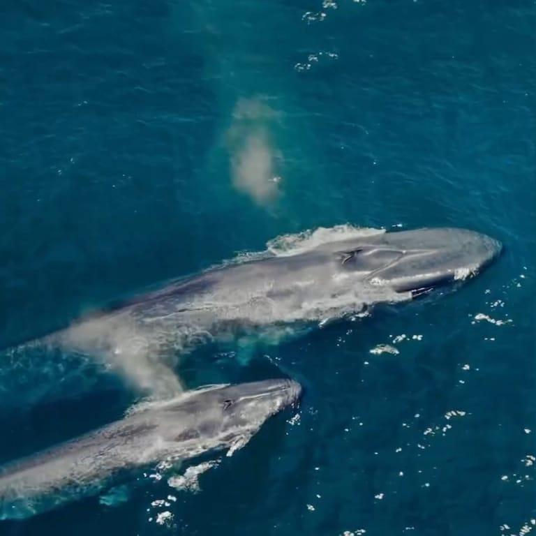 image of Museum of Natural History