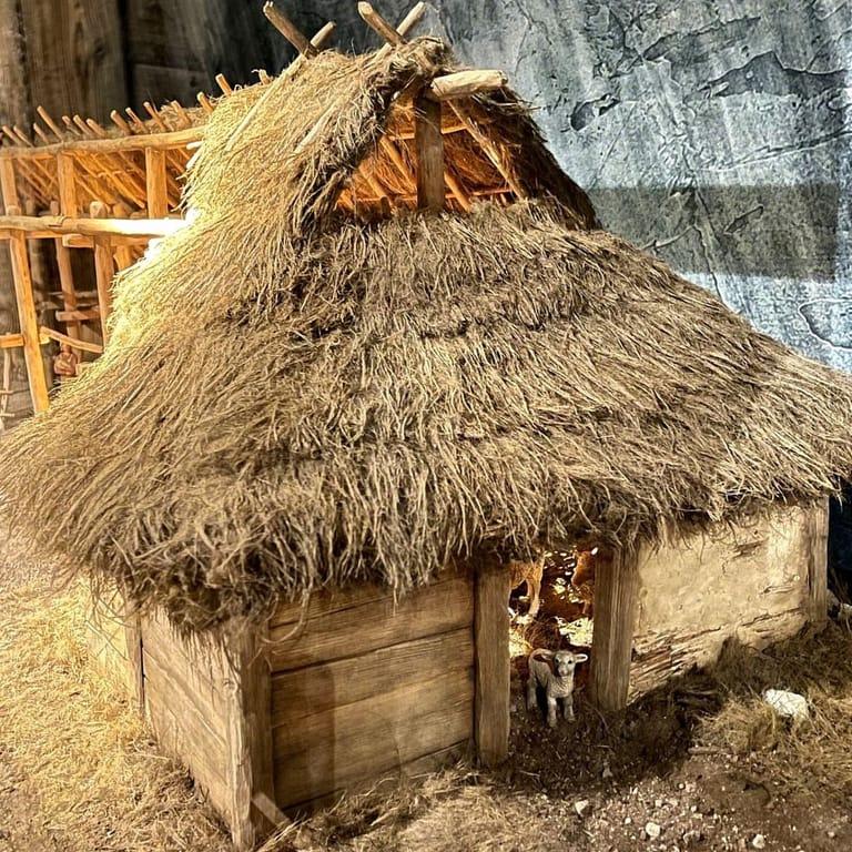 image of The Viking Museum