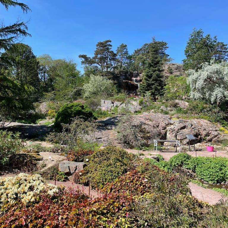 image of Gothenburg Botanical Garden