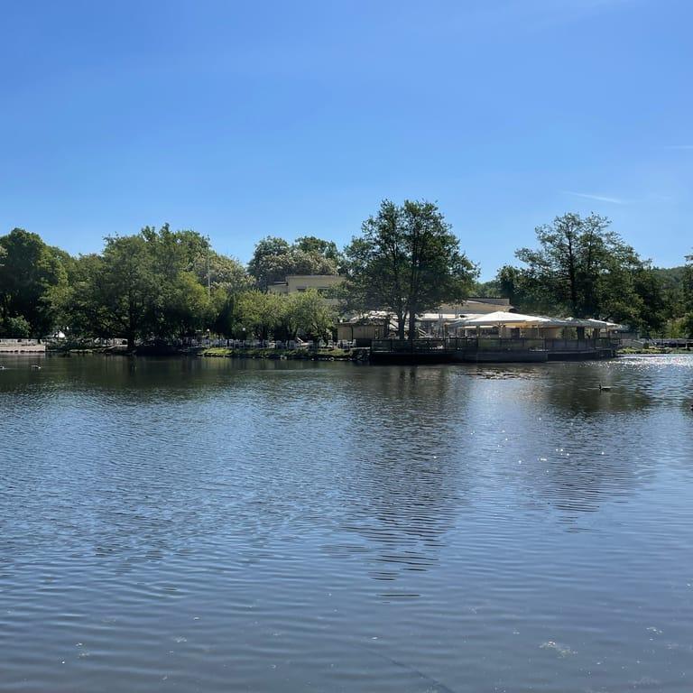 image of Slottsskogen