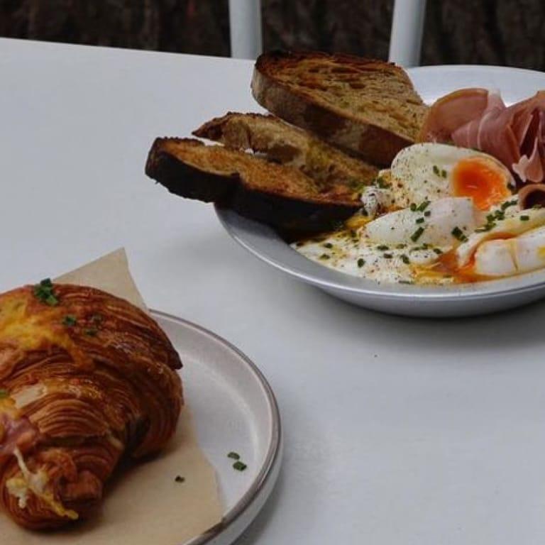 image of Hippy Hippo