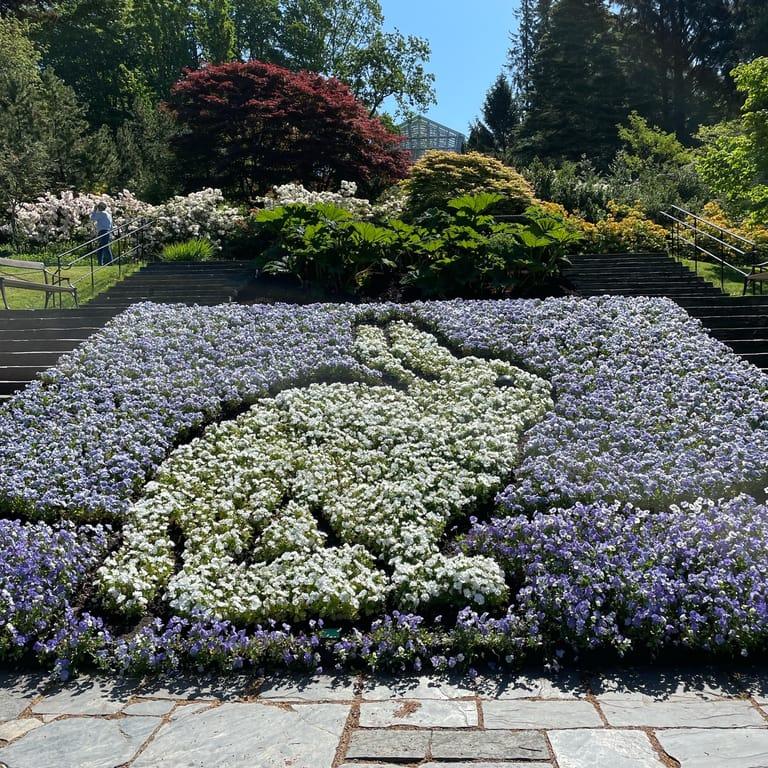 image of Gothenburg Botanical Garden