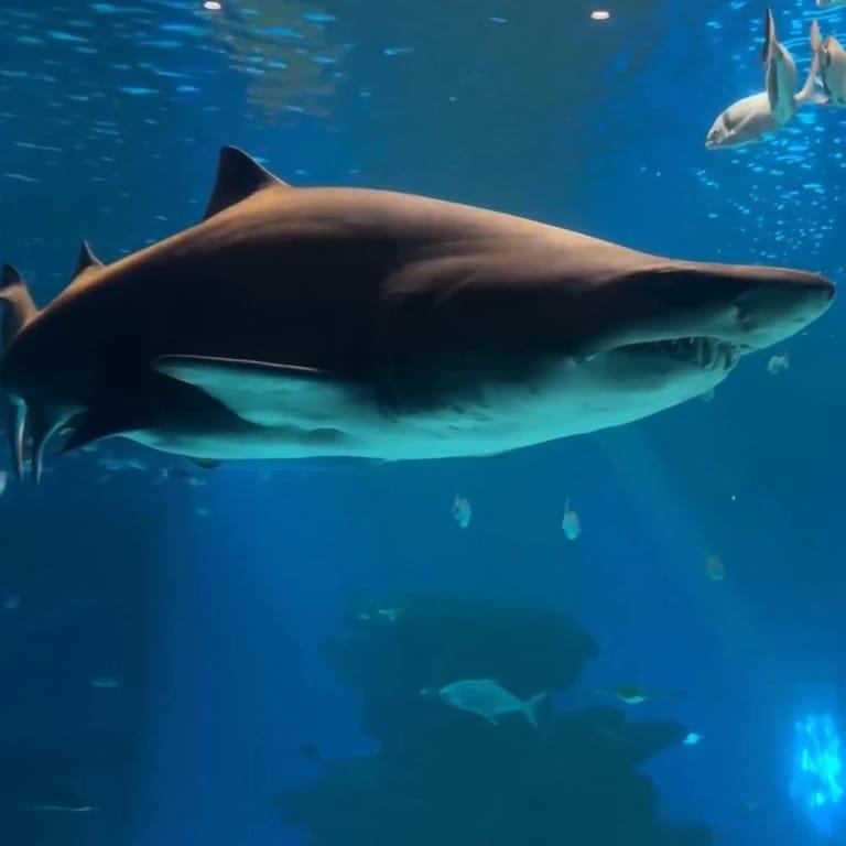 image of Palma Aquarium