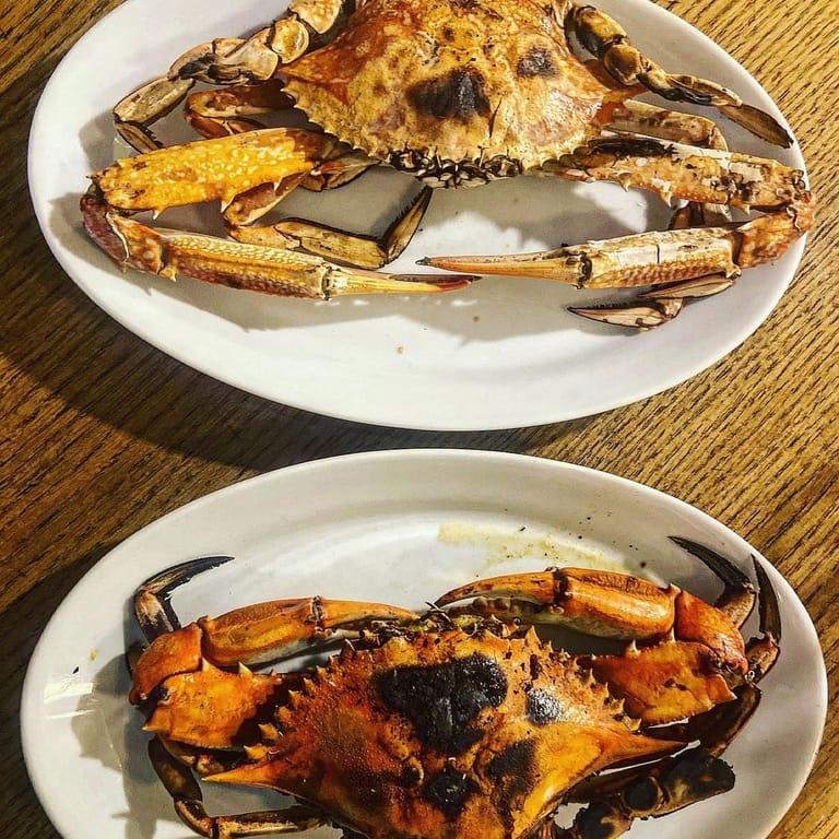 image of Orfoz Restaurant Bodrum