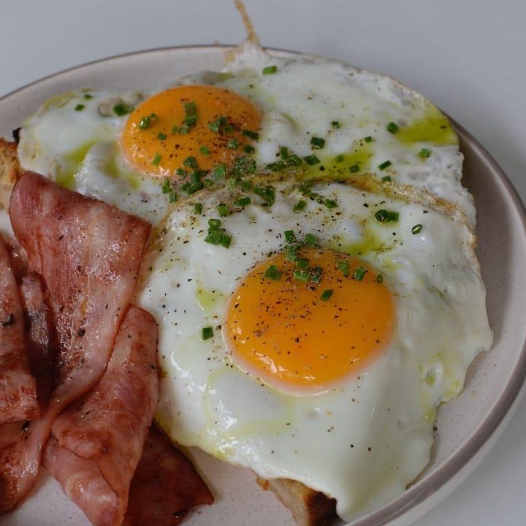 image of Hippy Hippo