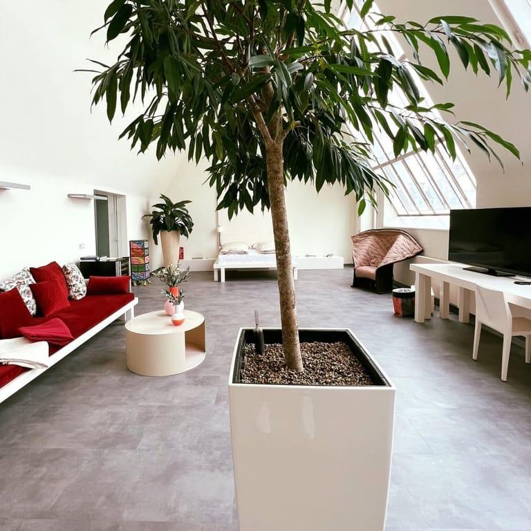 image of Hotel Rathaus Wein & Design Wien