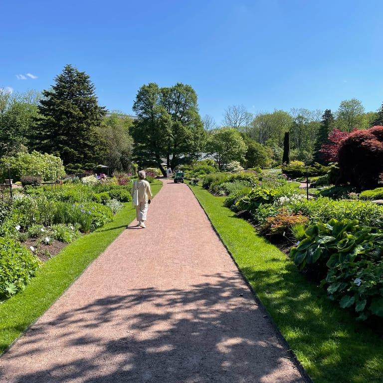 image of Gothenburg Botanical Garden