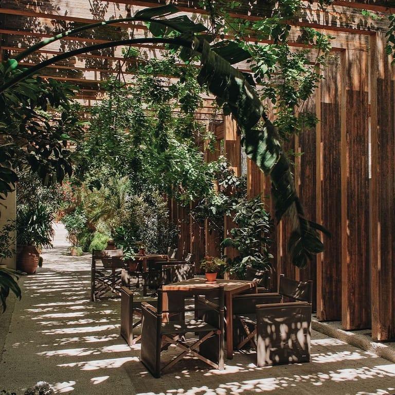 image of MACAKIZI BODRUM