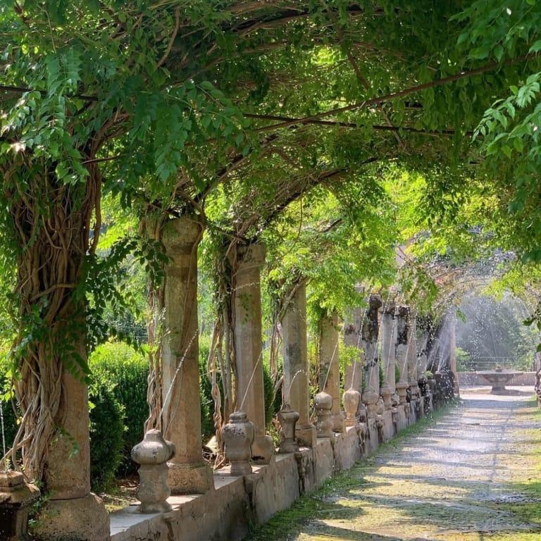 image of Jardins d'Alfàbia