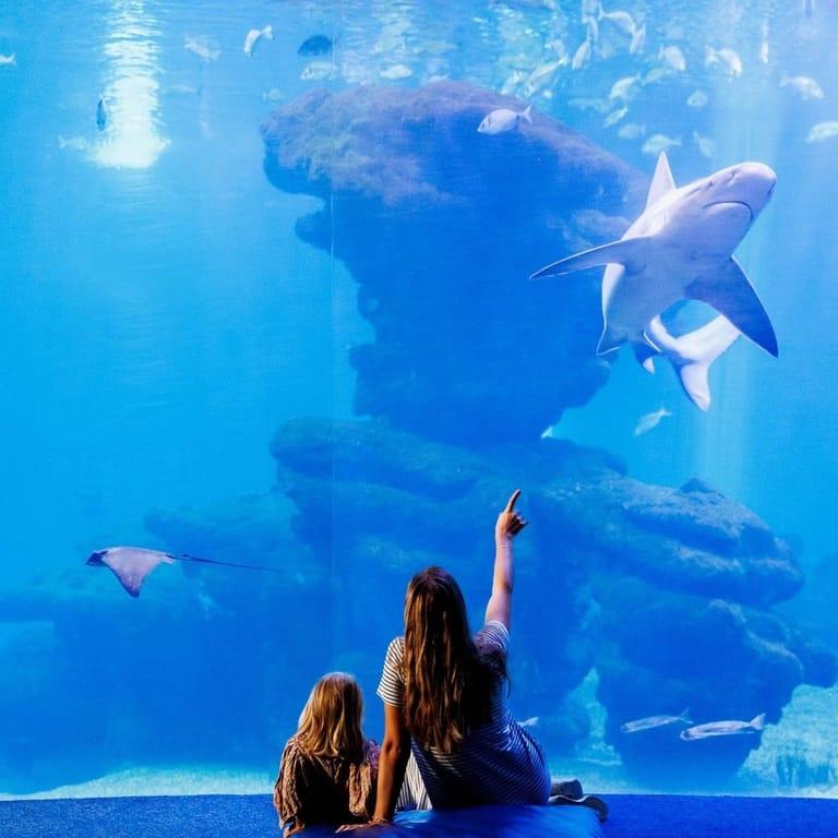 image of Palma Aquarium