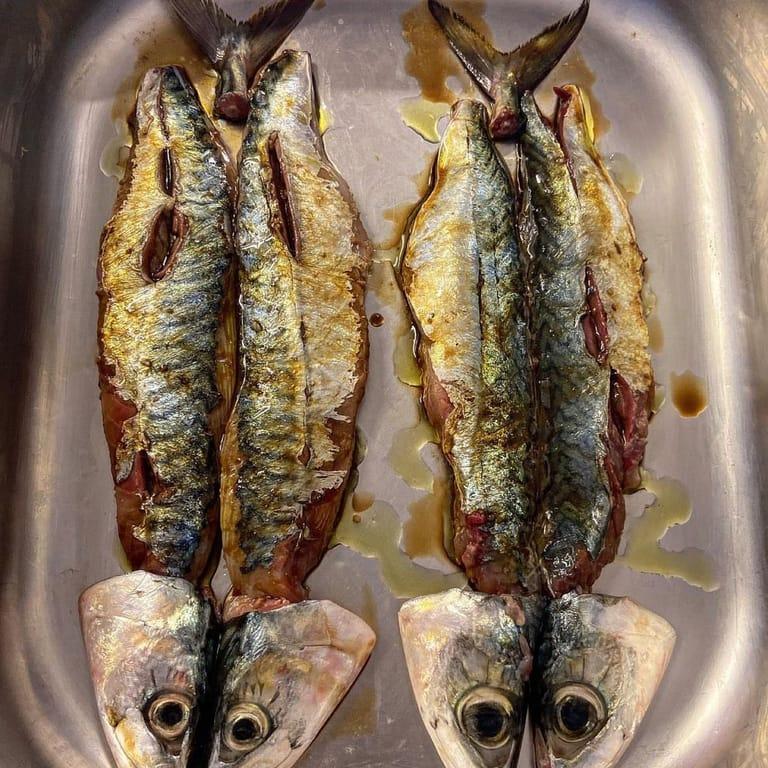 image of Orfoz Restaurant Bodrum