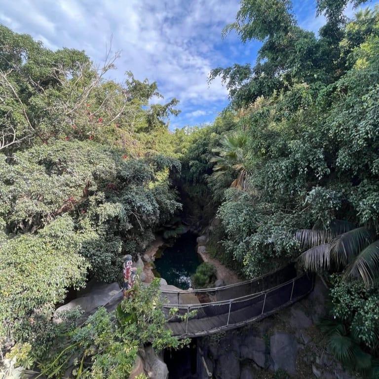 Image of the location Jungle Park