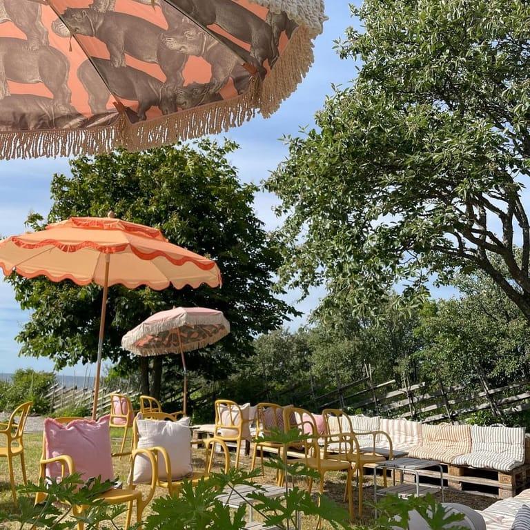 image of Krusmyntagården