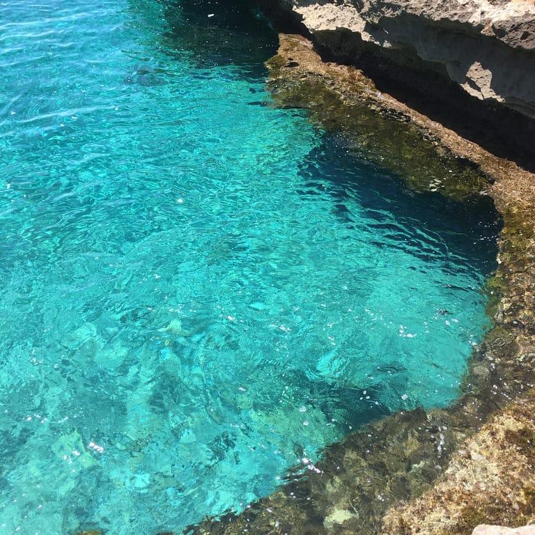 image of Gran Folies