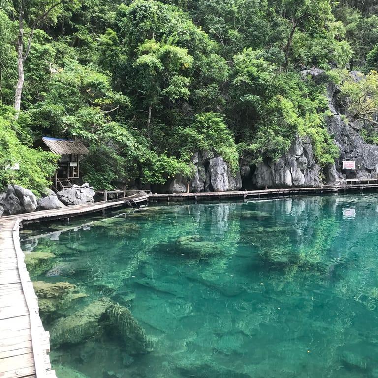 image of Port of Coron