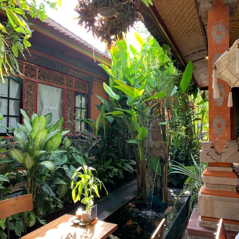 image of Cafe Vida Organic