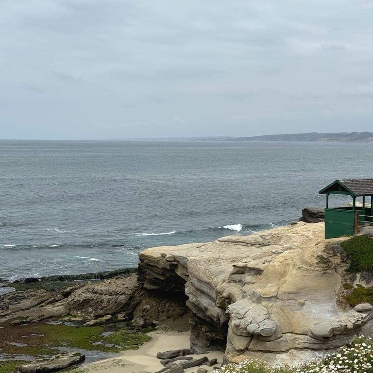 image of Lifeguard La Jolla Cove