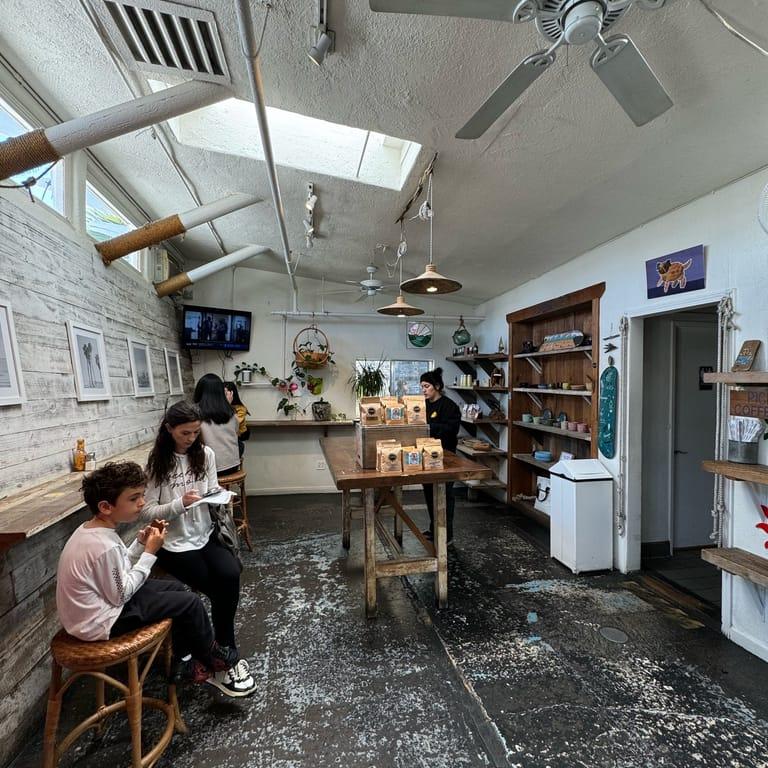 image of Blueys Santa Monica