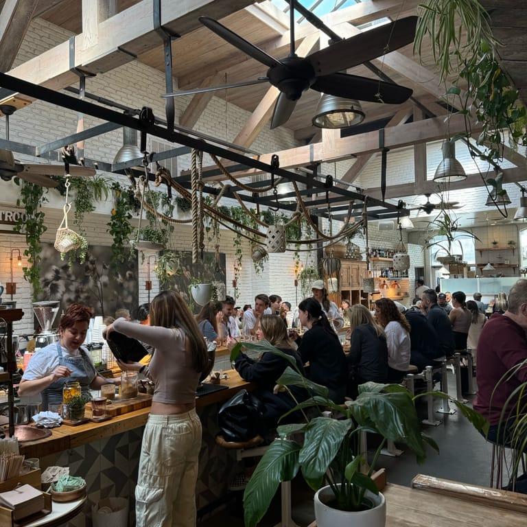 image of The Butcher's Daughter