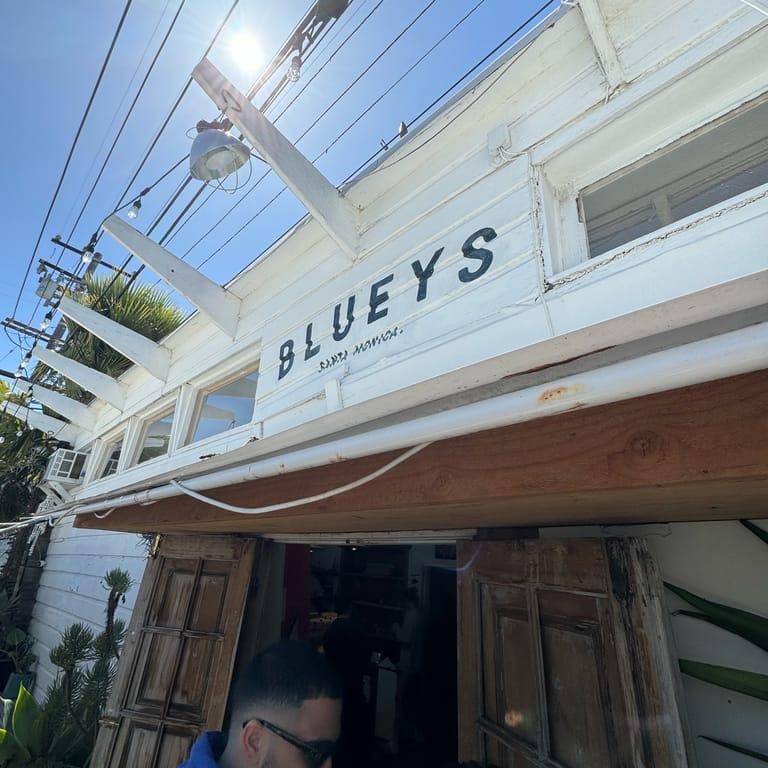 image of Blueys Santa Monica