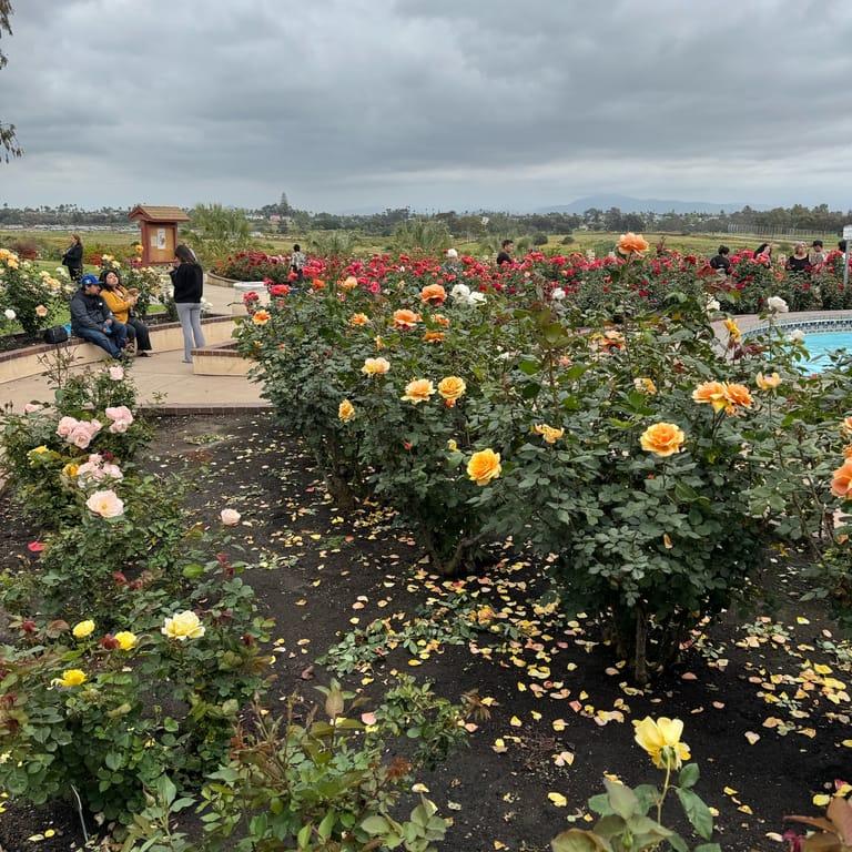 image of Balboa Park