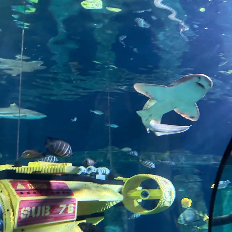 image of LEGOLAND® Billund Resort