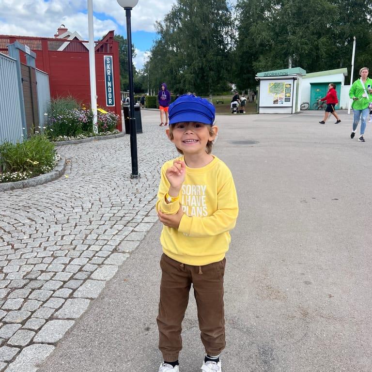 image of Astrid Lindgrens Värld