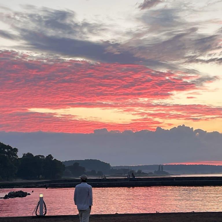 image of Tryffelsvinet Kivik