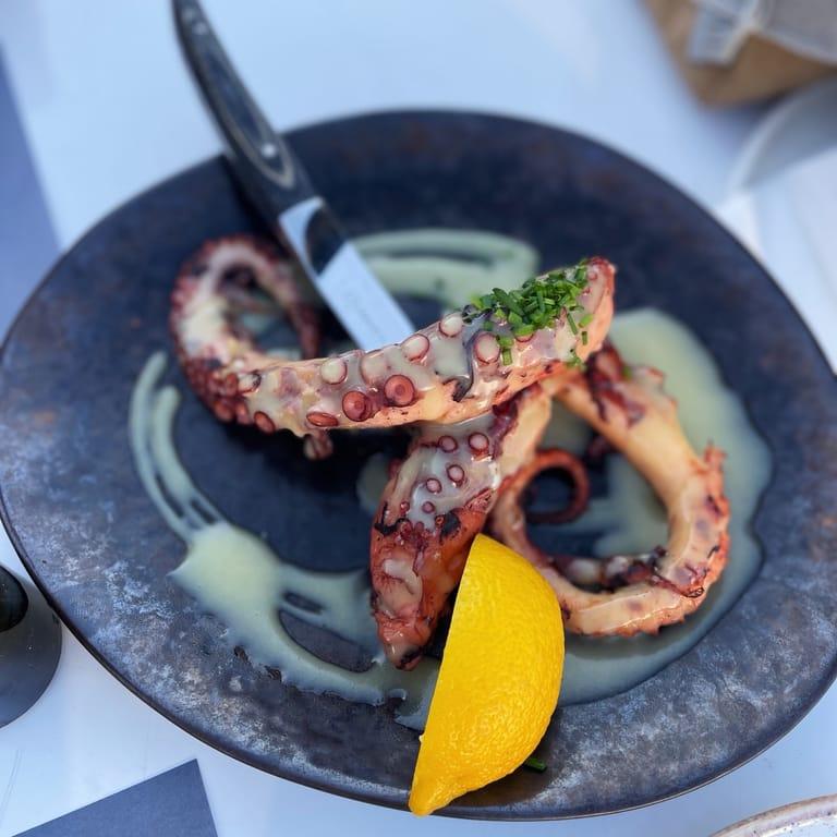 image of Sigi Ikthios