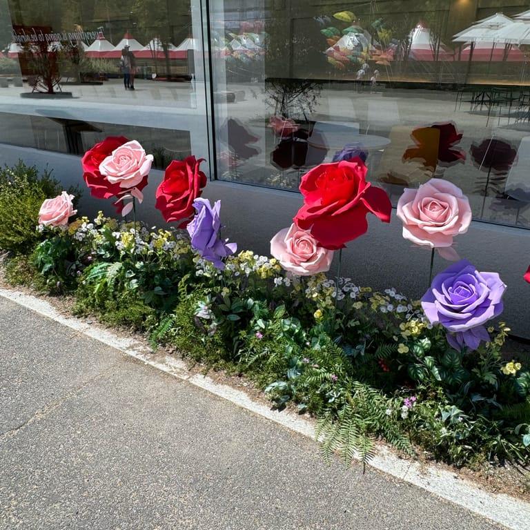 image of Gangchon Rail Park