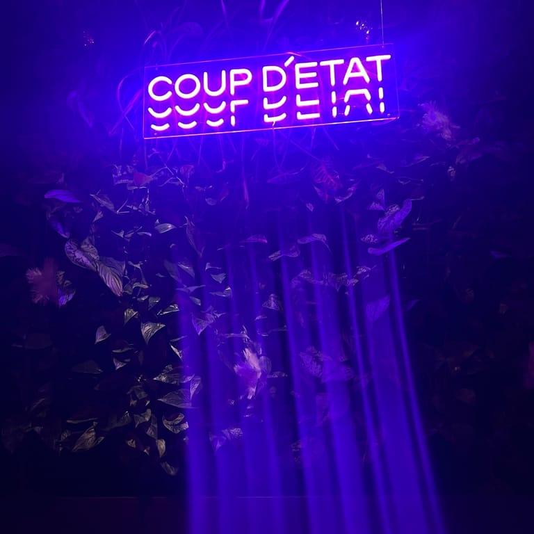 image of Coup D'etat