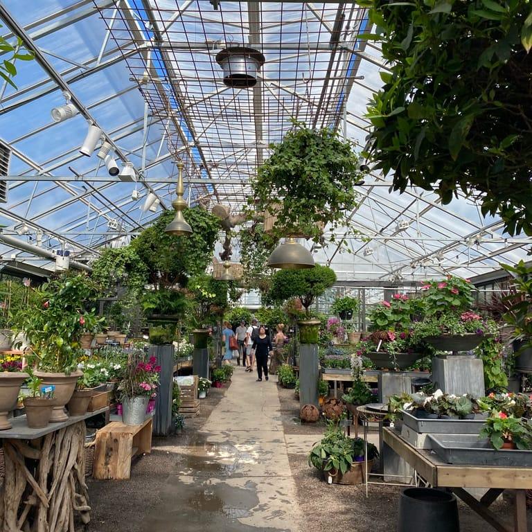 image of Ulriksdal Trädgårdscafé