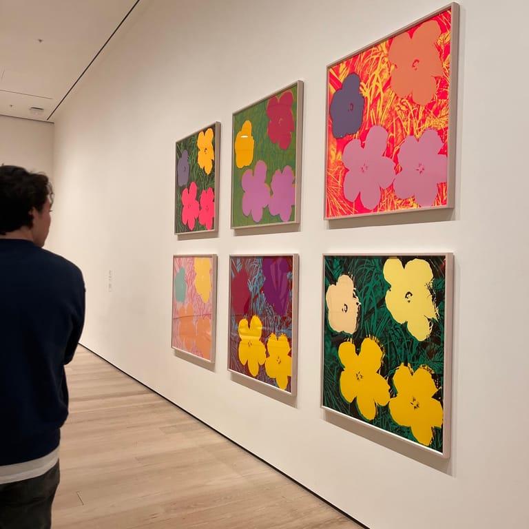 image of The Museum of Modern Art