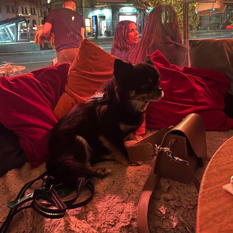 image of Café Colette