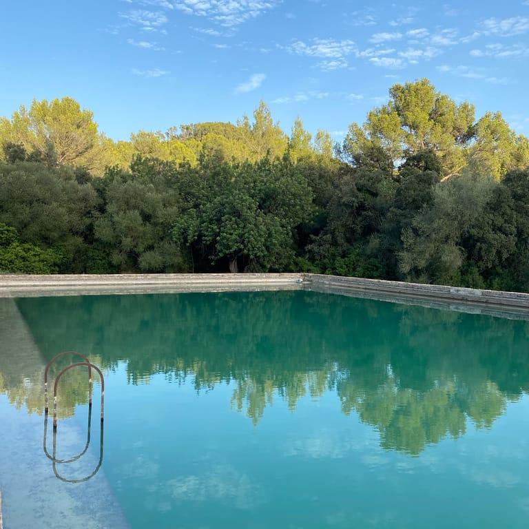 image of Ses Rotes Horses & Wine