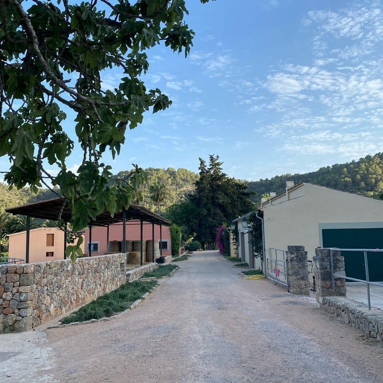 image of Ses Rotes Horses & Wine