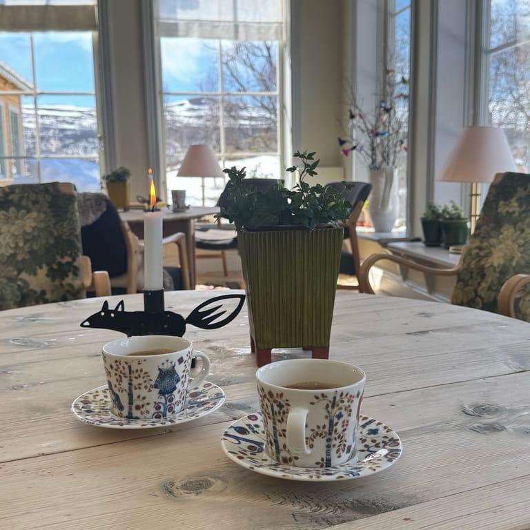 image of Fjällnäs Est. 1882