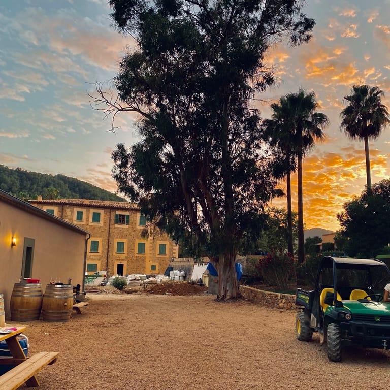 image of Ses Rotes Horses & Wine