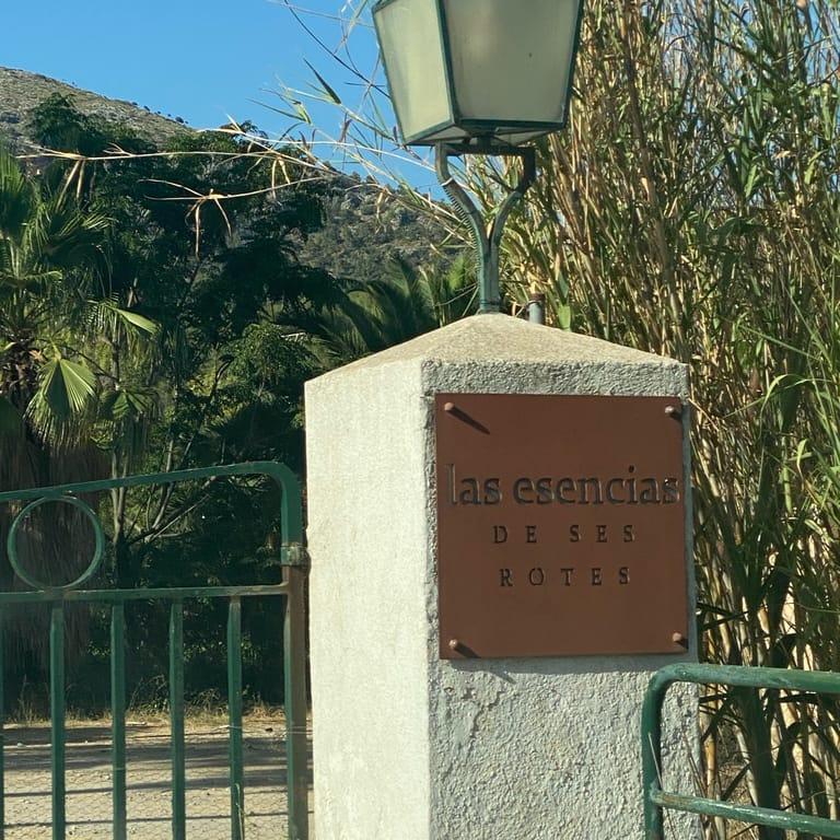 image of Ses Rotes Horses & Wine