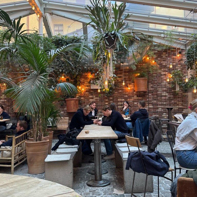 image of Kafé Magasinet