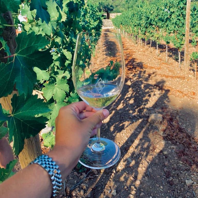 image of Ses Rotes Horses & Wine