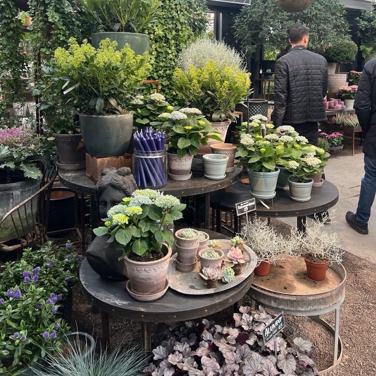 image of Ulriksdals Slottsträdgård