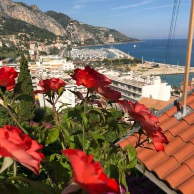 image of Menton garavan