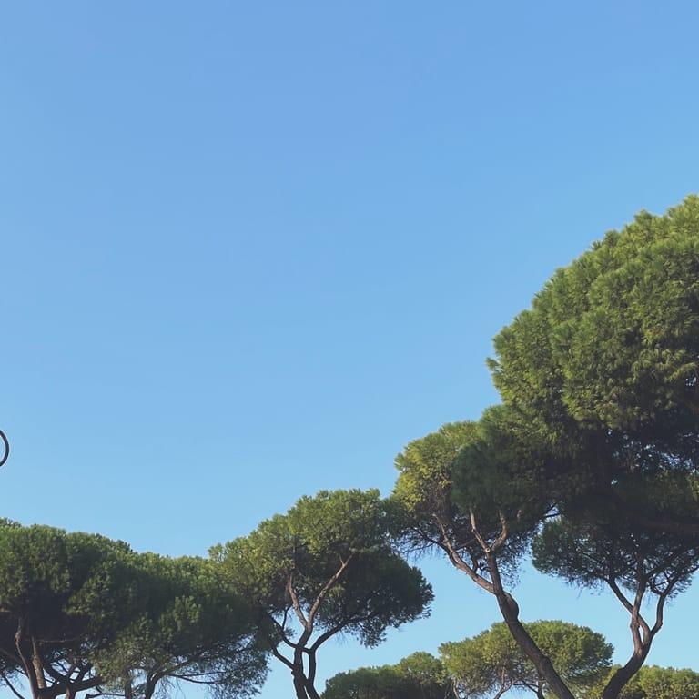 image of Villa Borghese